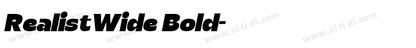 RealistWide Bold字体转换